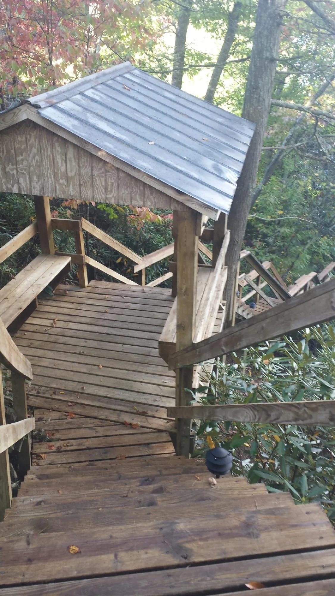 Metal roofed shelter over wooden steps on a wooded walkway — Skylight Repair & Installation work by our crew in Beech Bluff