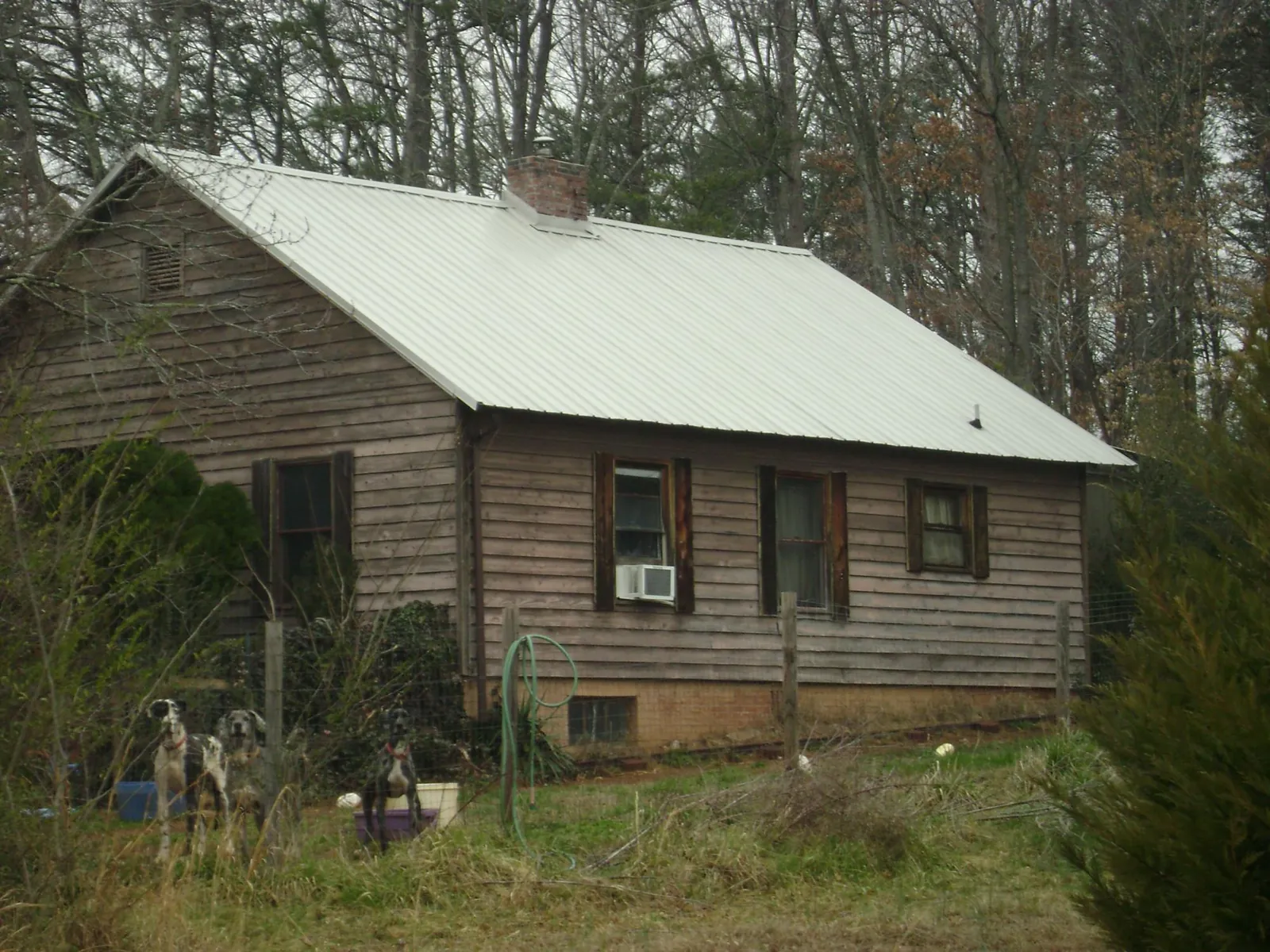 White metal roof on an old wood sided farmhouse, from a Asphalt Shingle Roof Repair job in Beech Bluff